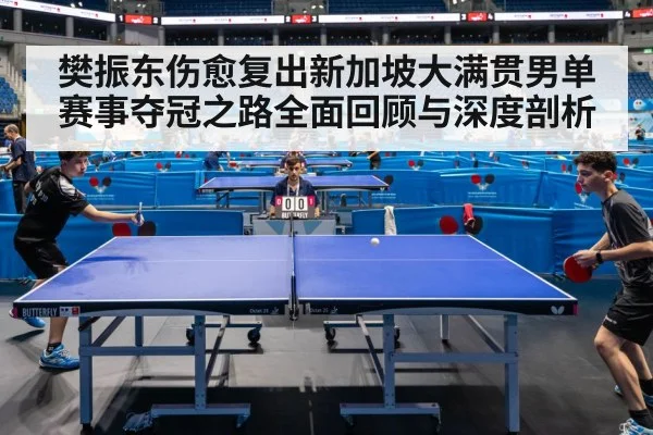 樊振东伤愈复出新加坡大满贯男单赛事夺冠之路全面回顾与深度剖析