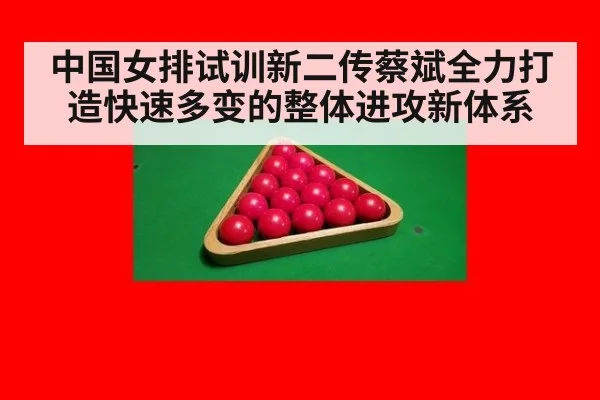 中国女排试训新二传蔡斌全力打造快速多变的整体进攻新体系